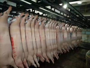 生豬屠宰企業(yè)管理方案|白條分割系統(tǒng)|肉類加工廠軟件|屠宰管理系統(tǒng)